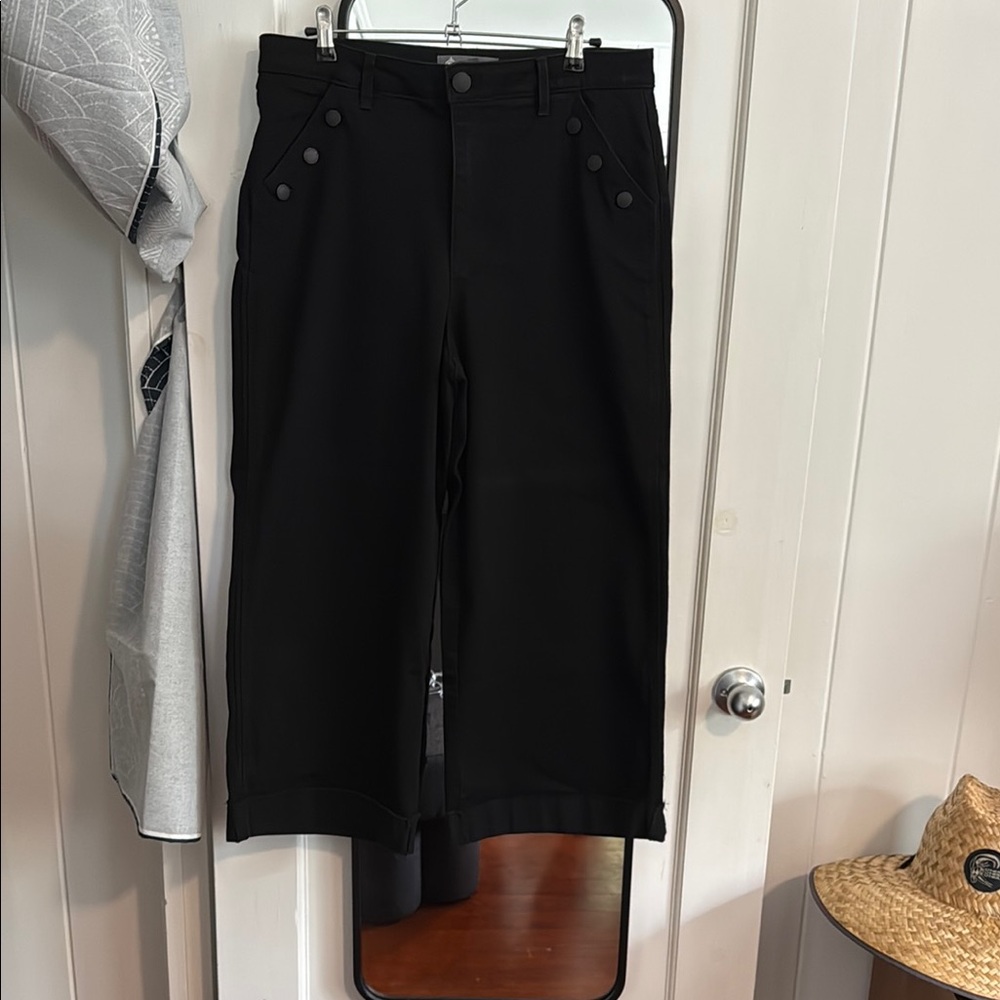 Democracy Wide Leg Sailor Pants